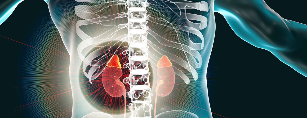 Adrenocortical Carcinoma (ACC) Treatment in India