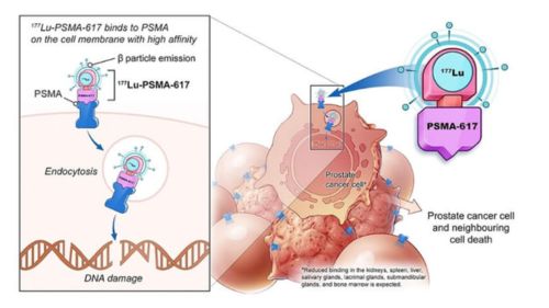 Lutetium-177 PSMA Therapy Cost in India